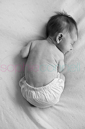 MARGOT25783