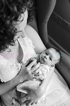 MARGOT25516