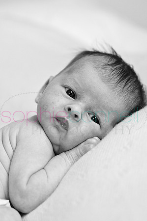 MARGOT25788
