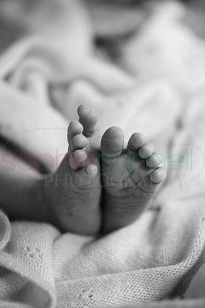 MARGOT25770