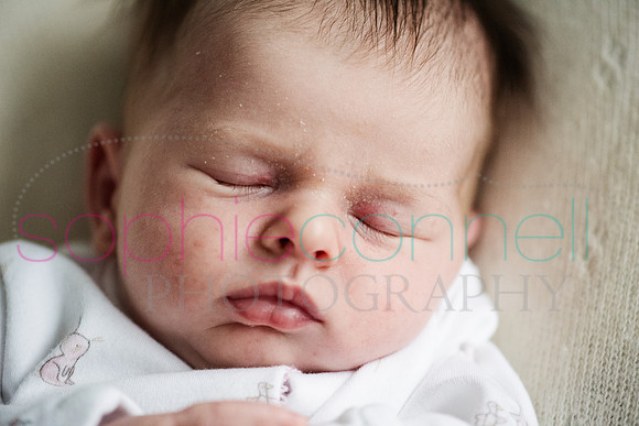 MARGOT25781