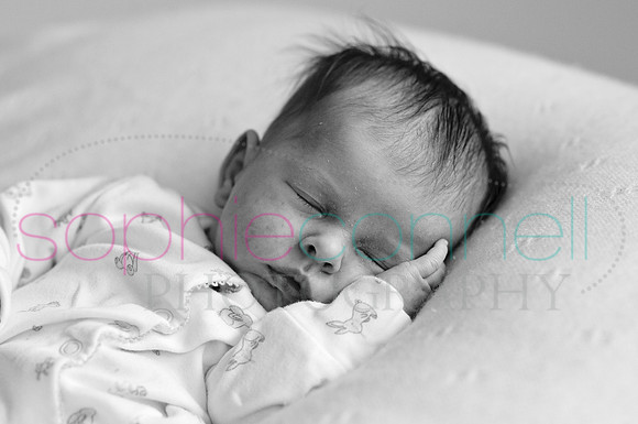 MARGOT25724