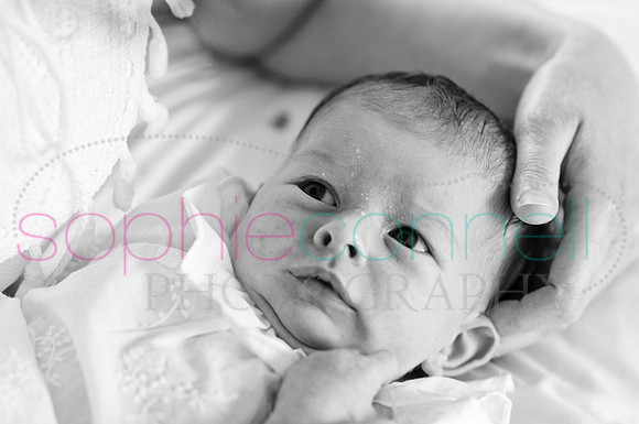 MARGOT25610