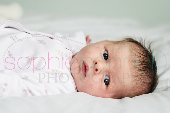MARGOT25715