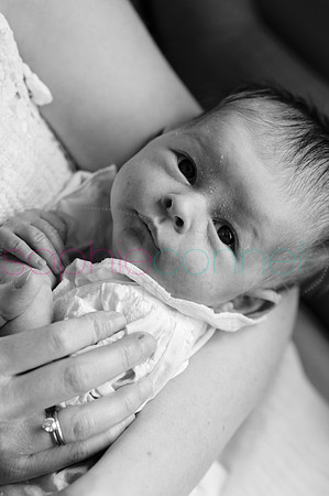 MARGOT25628