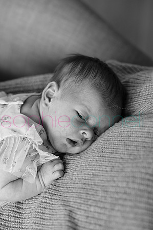 MARGOT25447