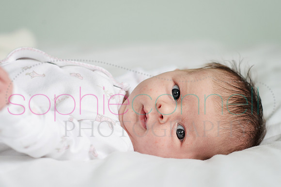 MARGOT25719