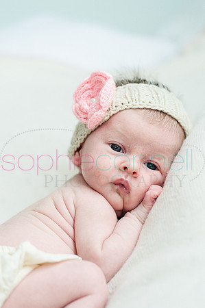 MARGOT25805