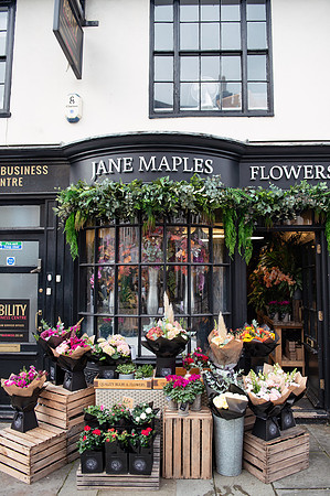 janem244