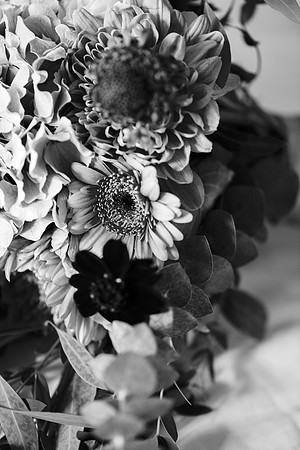 amy&mark0353