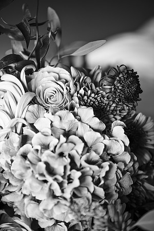 amy&mark0349