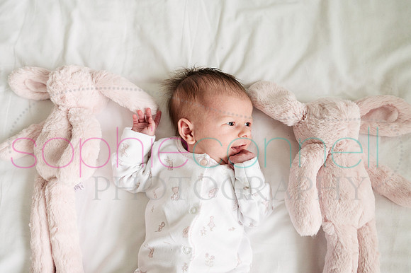 MARGOT25694