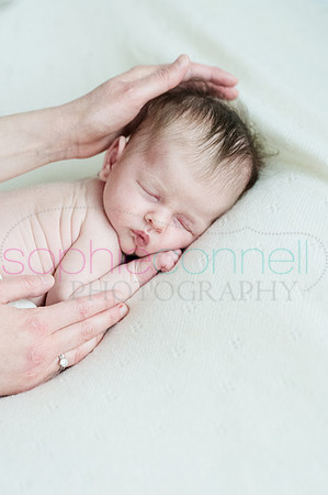 MARGOT25824