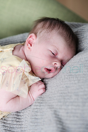 MARGOT25448