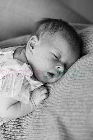 MARGOT25449