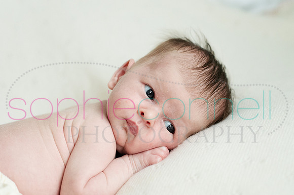 MARGOT25797