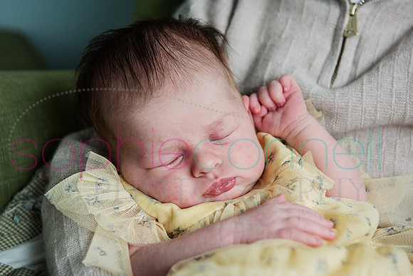 MARGOT25495