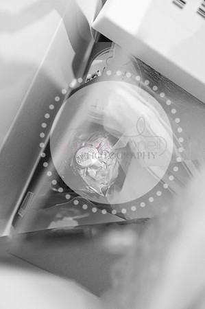 amy&mark0068