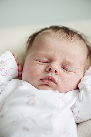 MARGOT25763