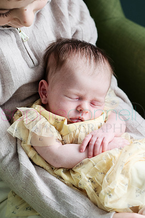 MARGOT25583