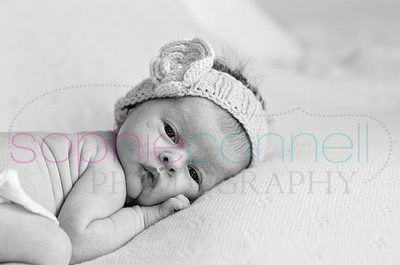 MARGOT25810