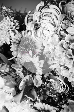 amy&mark0348