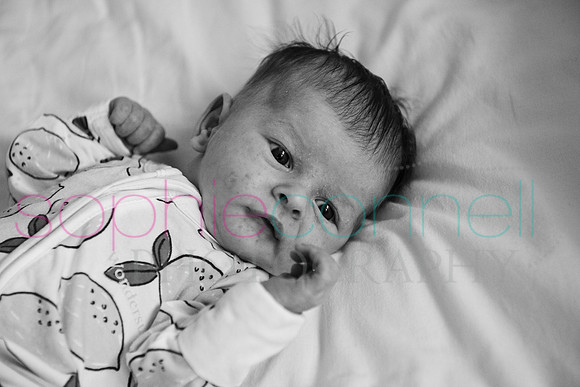 MARGOT25690