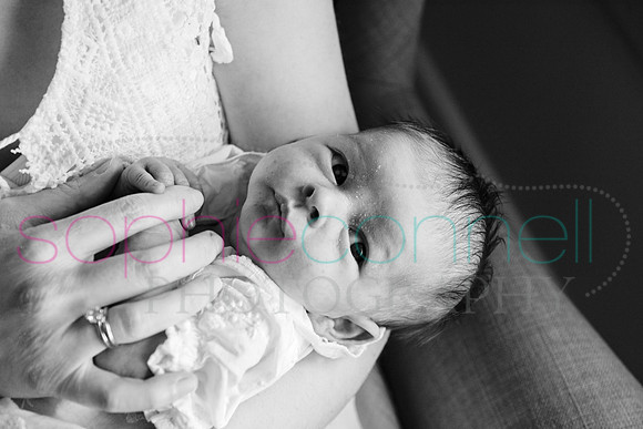 MARGOT25520