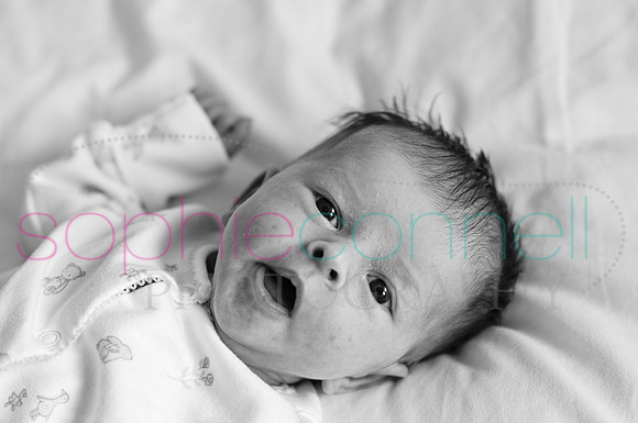 MARGOT25722