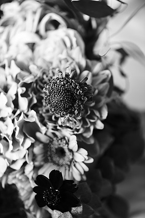 amy&mark0355