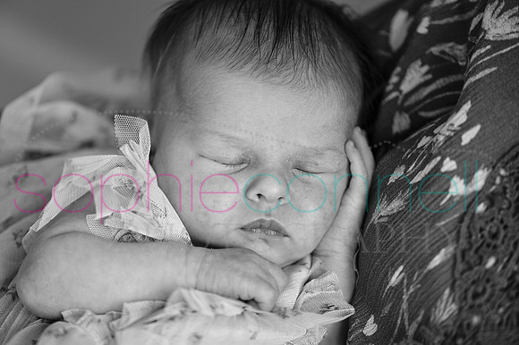 MARGOT25459