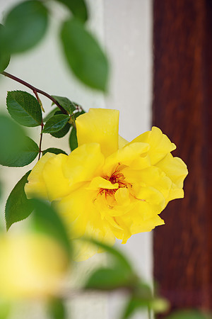 gail022