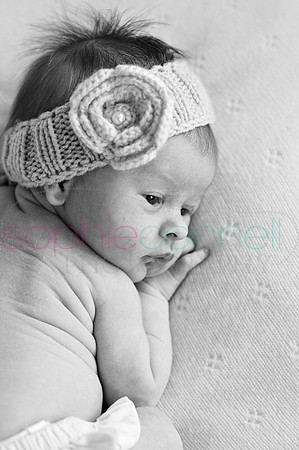MARGOT25812