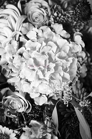 amy&mark0350