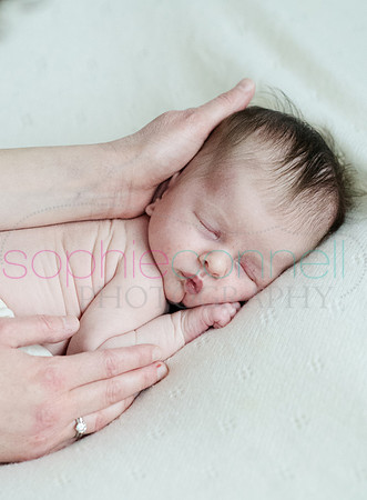 MARGOT25828