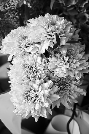 amy&mark0367