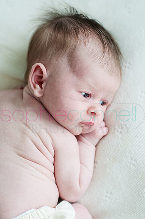 MARGOT25799