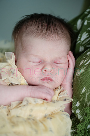 MARGOT25456