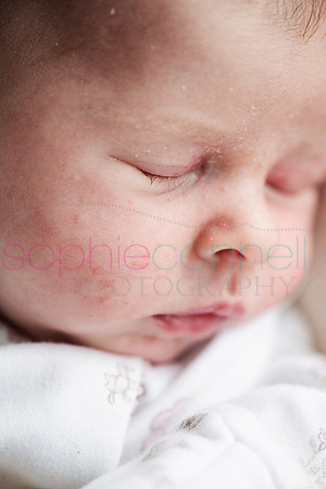 MARGOT25759