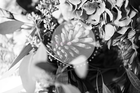amy&mark0366