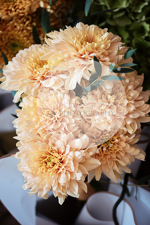amy&mark0371