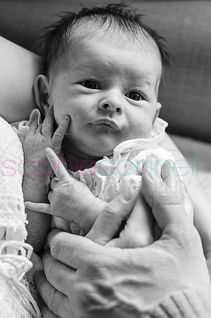 MARGOT25636