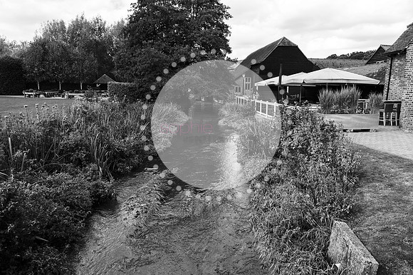 amy&mark0546