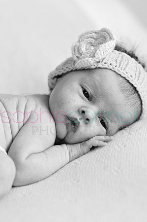 MARGOT25814