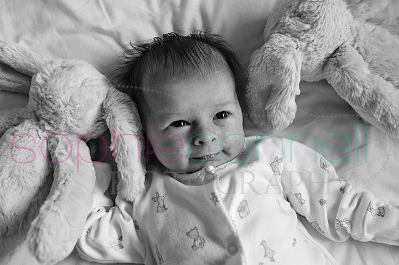 MARGOT25705