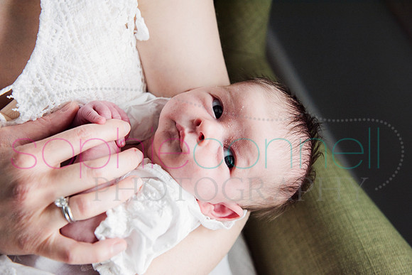 MARGOT25521