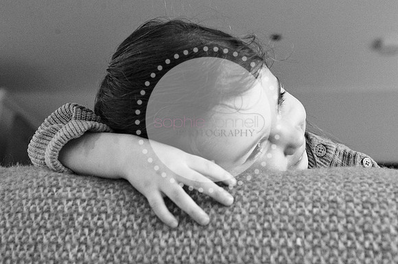 stephanie25252