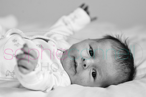 MARGOT25716