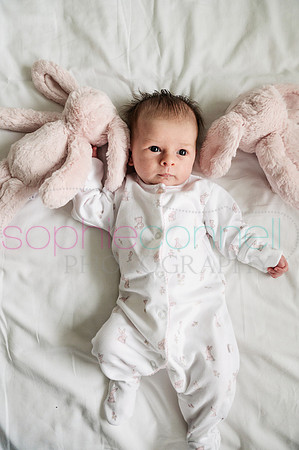 MARGOT25708