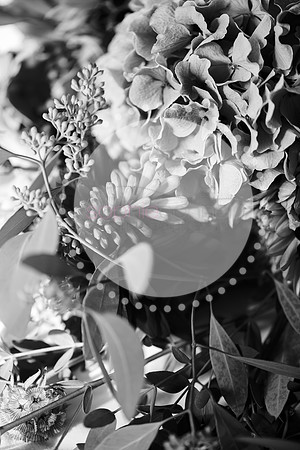 amy&mark0362